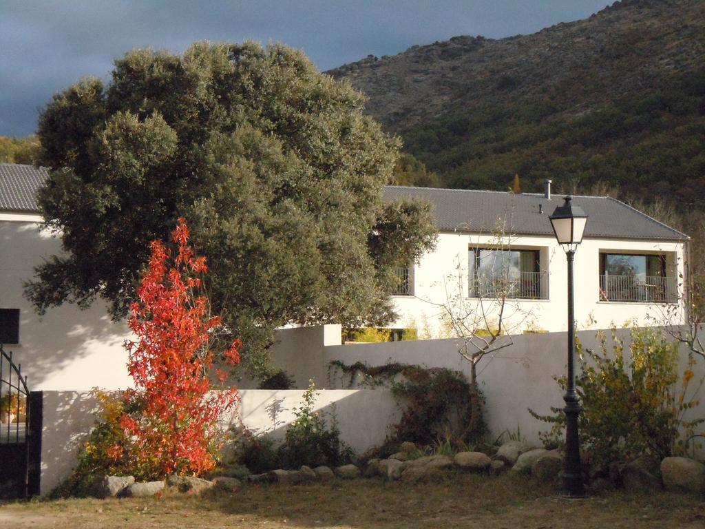 Hotel El Hotelito