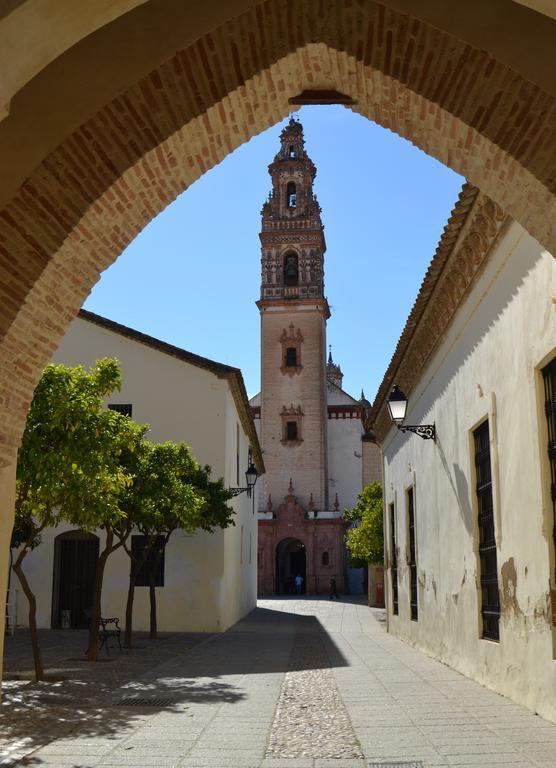 Palmeras * Palma del Rio