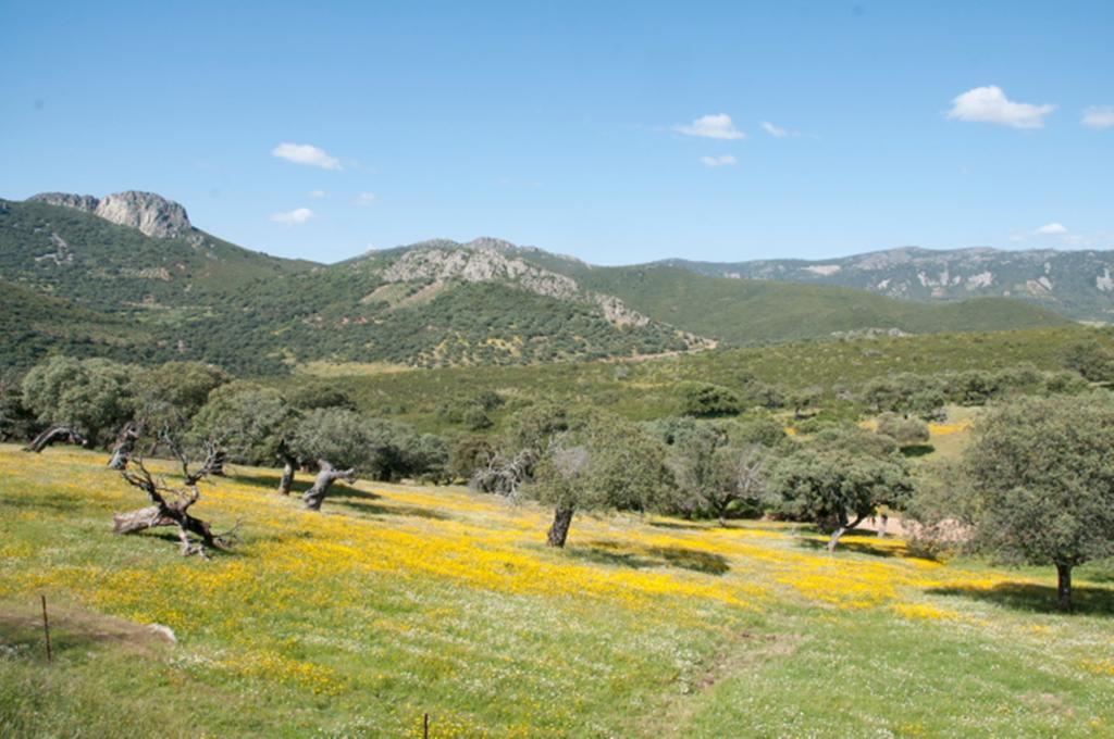 La Brizna Casa rural Cañamero