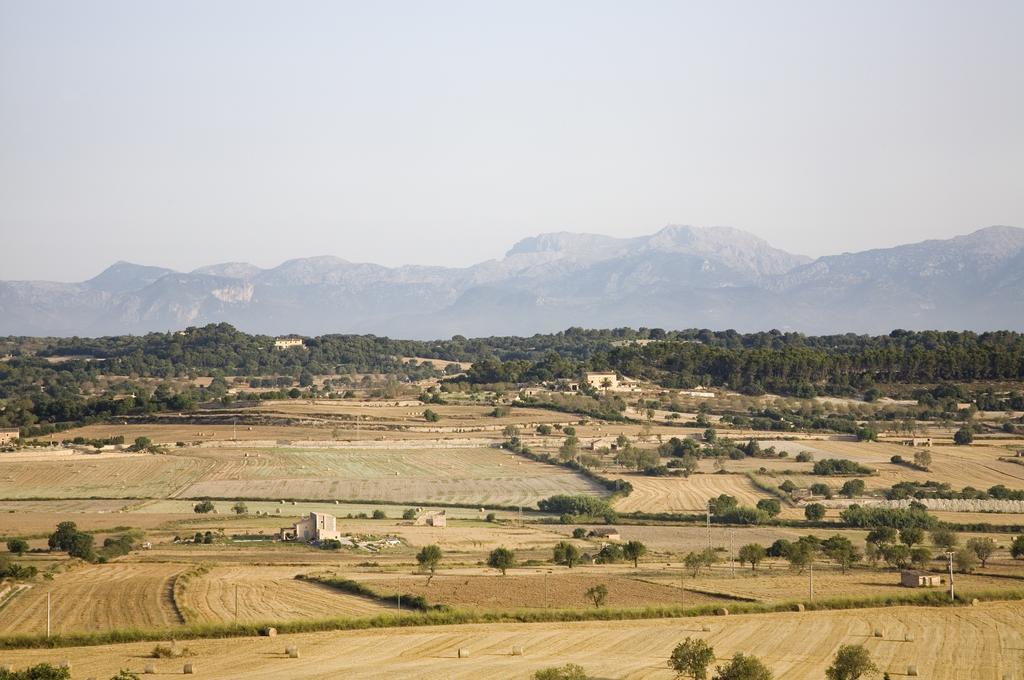 Agroturismo Sa Rota D' En Palerm Farm stay