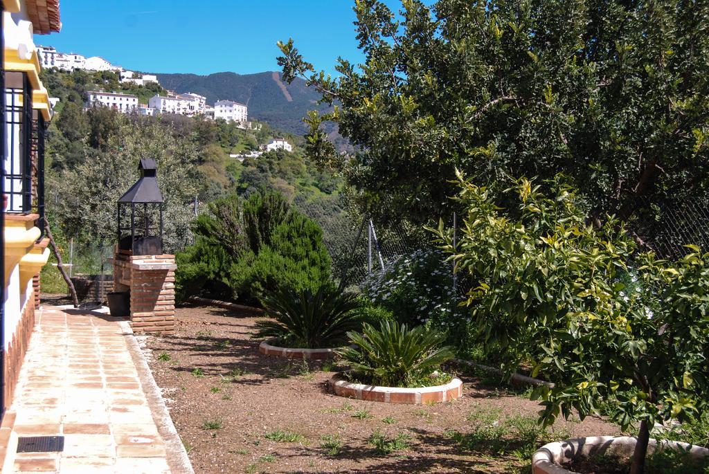 Finca Mazuqueto *