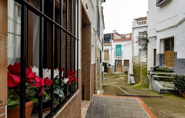 Las Flores Tolox