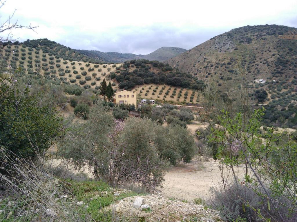 Cortijos San Jose Iznajar