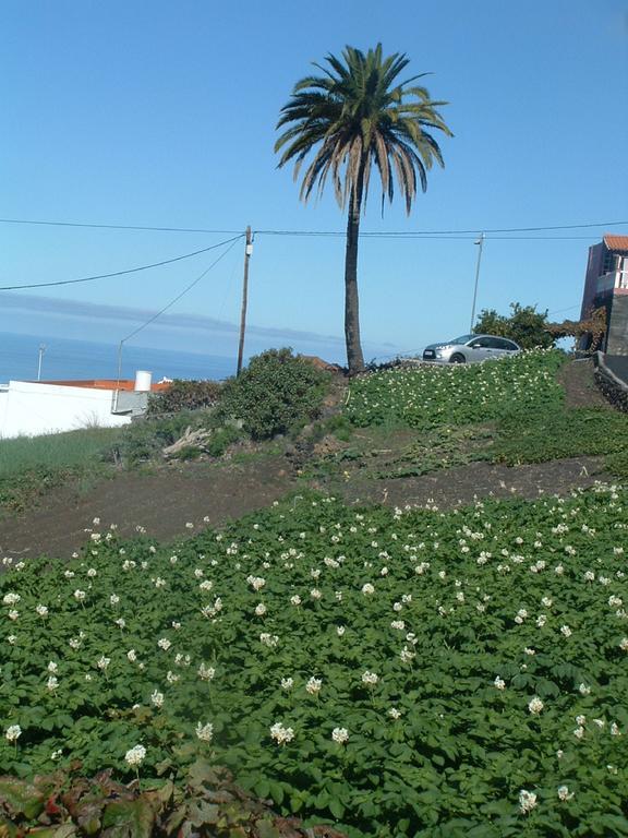 Casa Vinedos A
