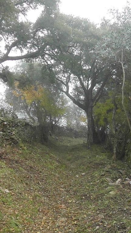 Casa rural Montes Casas de Miravete