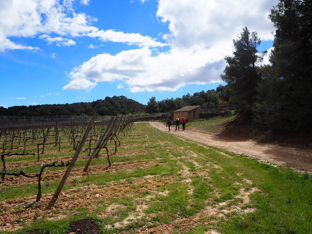 Vilosell Wine *