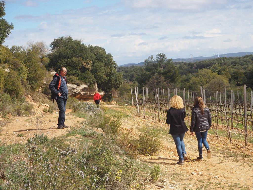Casa rural Vilosell Wine