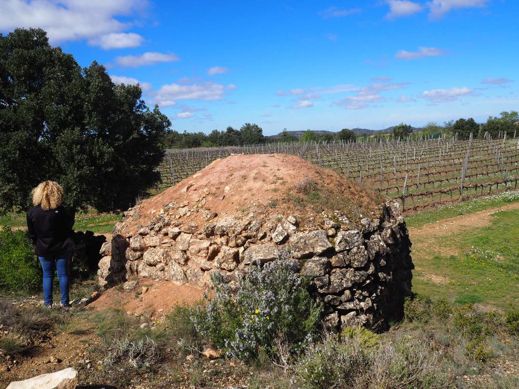 Vilosell Wine *