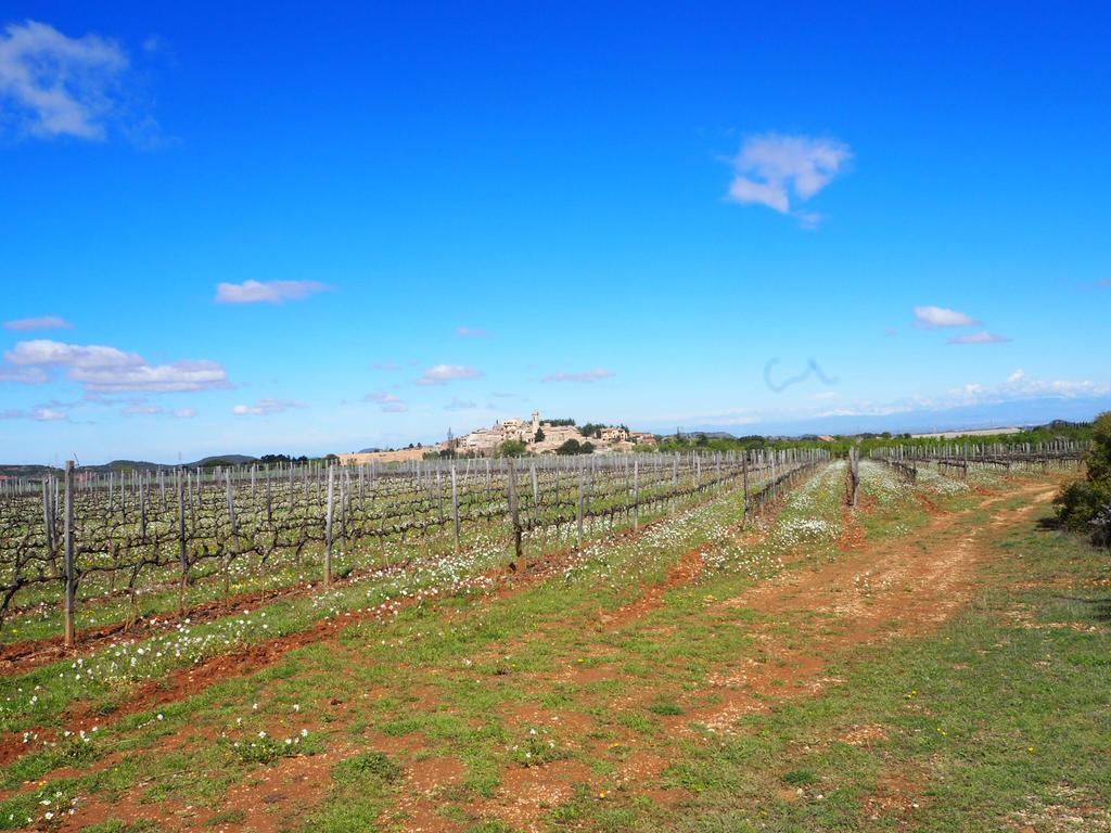 Vilosell Wine Casa rural *