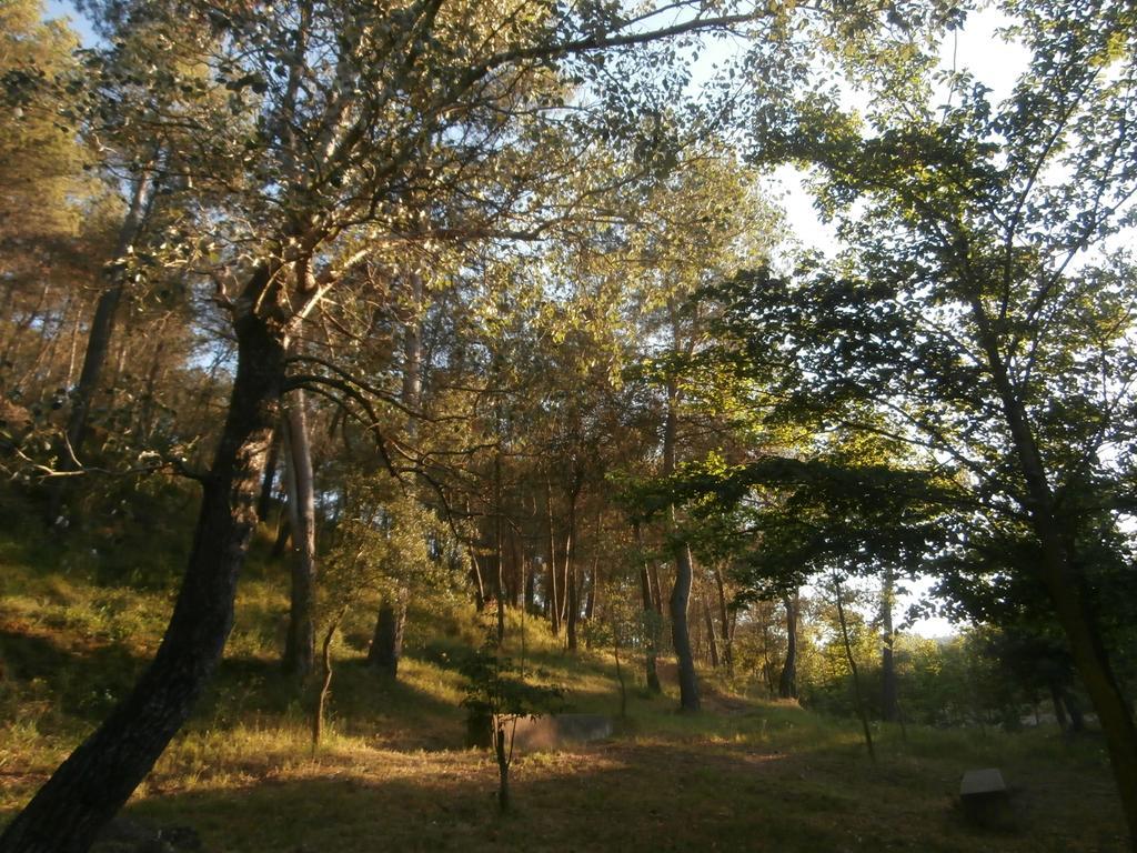 Les Eres De Casa rural Gátova