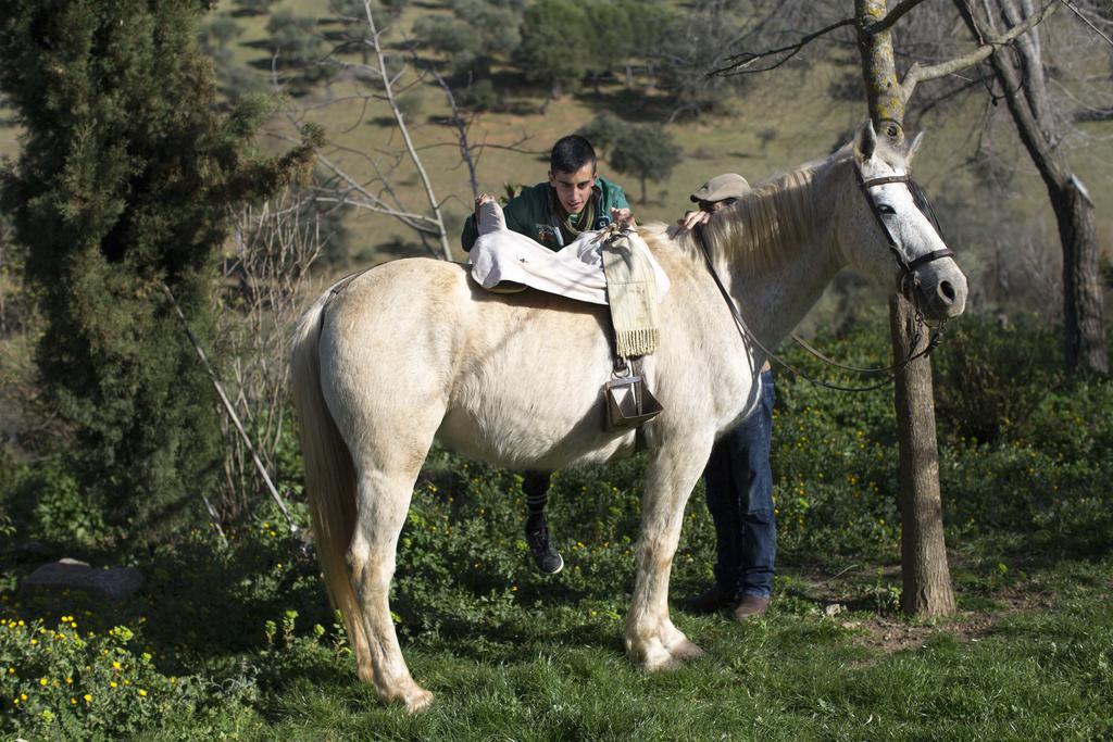 Cortijo El Berrocal Cazalla de la Sierra