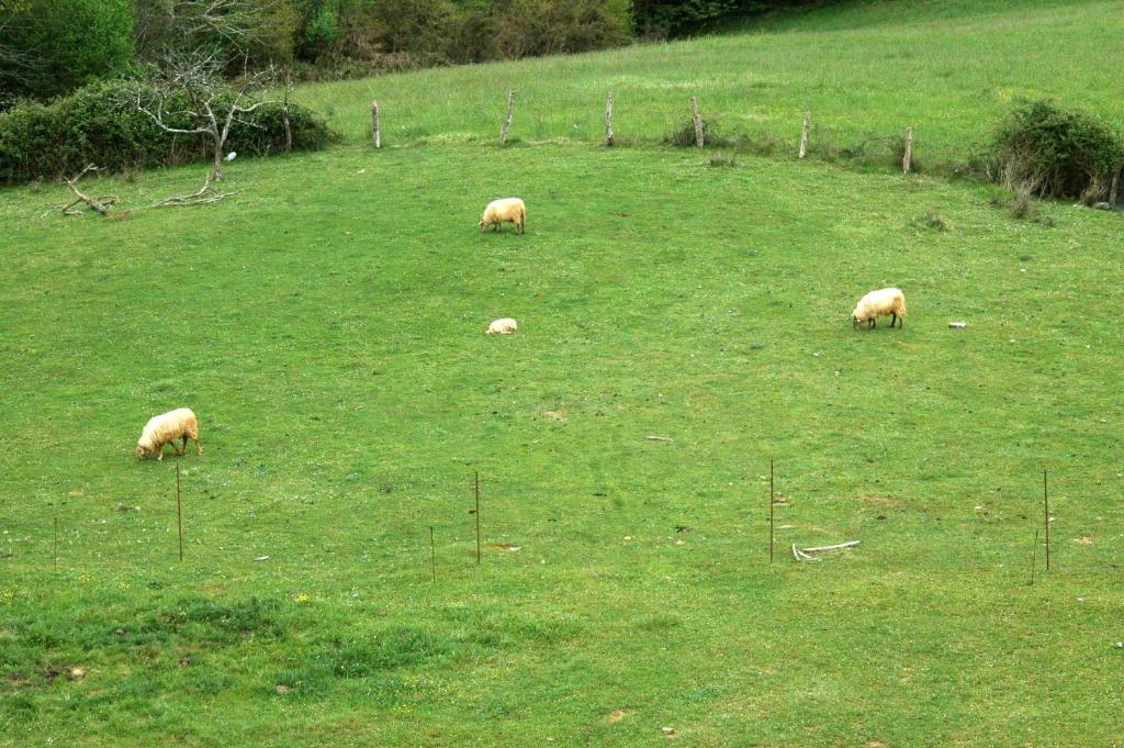 Rural El Texu Hotel Arriondas