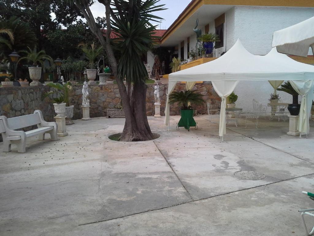 Hotel Gines Love hotel Gines