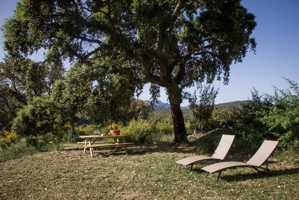 Farm stay Tambor Del Llano