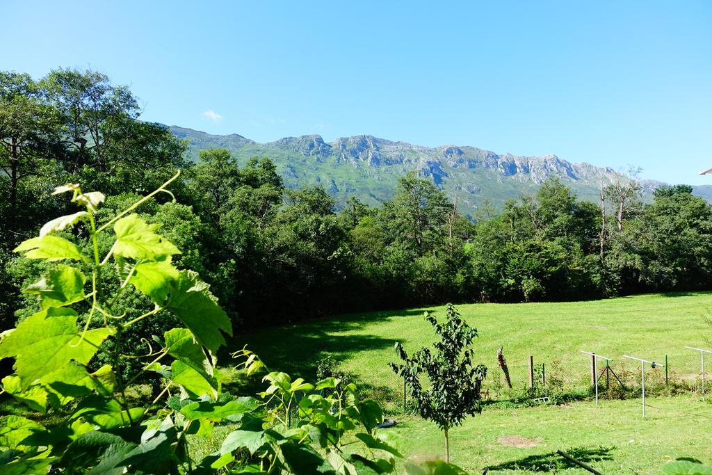 Prau Riu Hyundai-asturdai