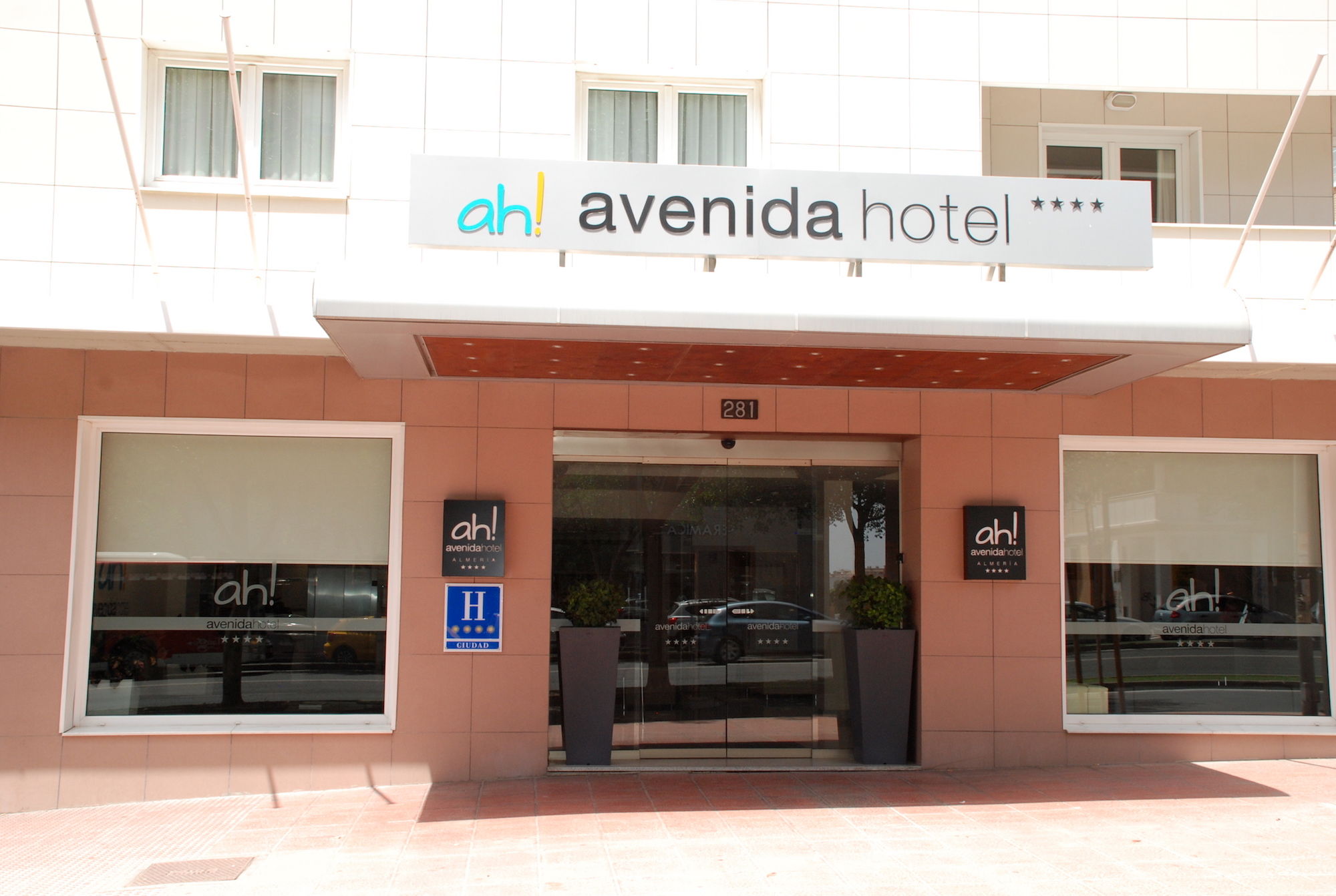Hotel Avenida 4*