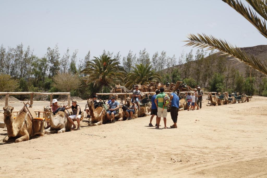 Holiday park Bungalows El Jardin Pajara (Fuerteventura)