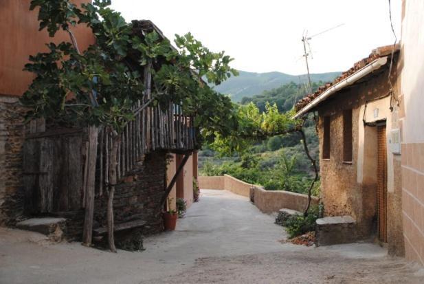 Luna Menguante Country house *
