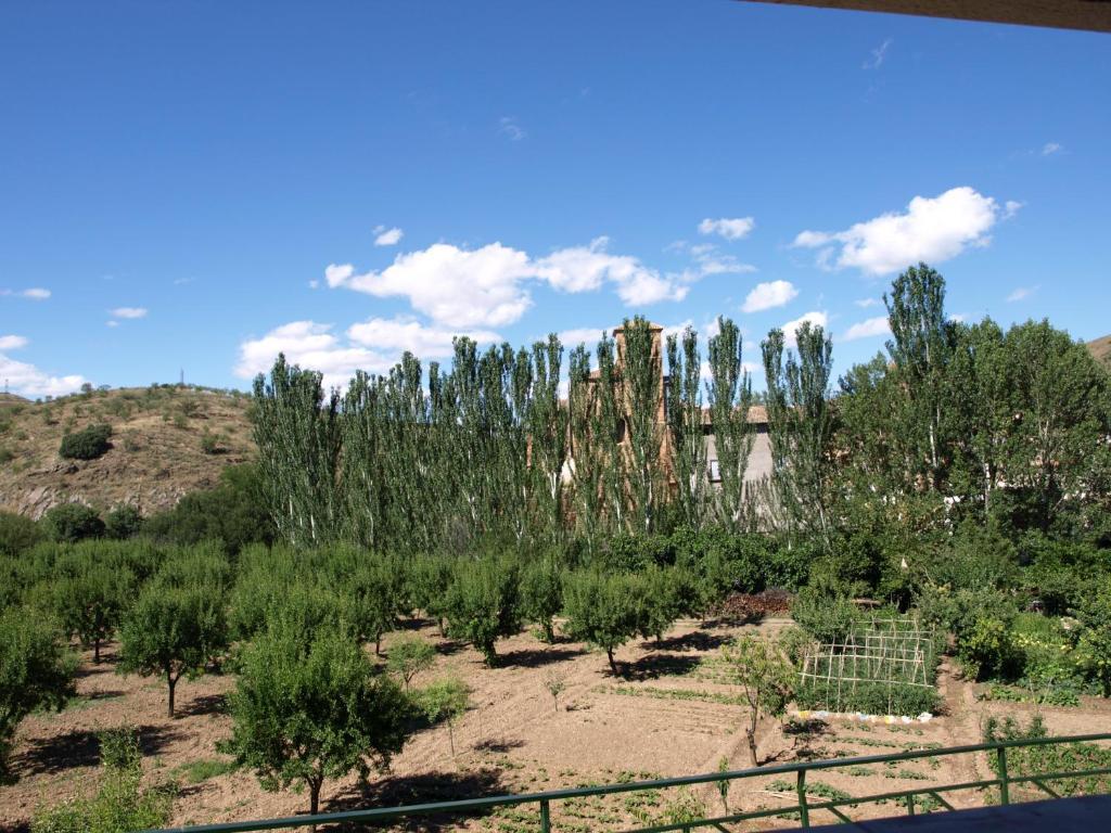 Apartamento Rurales Camino Del Cid Castejón de las Armas