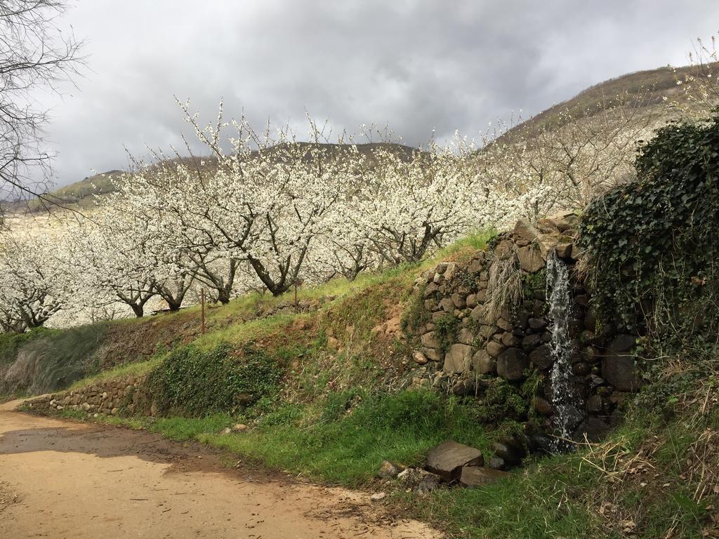 El Capricho Del Jerte Casa rural