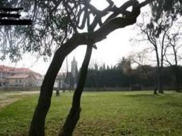 Los Pinos Hotel 2*