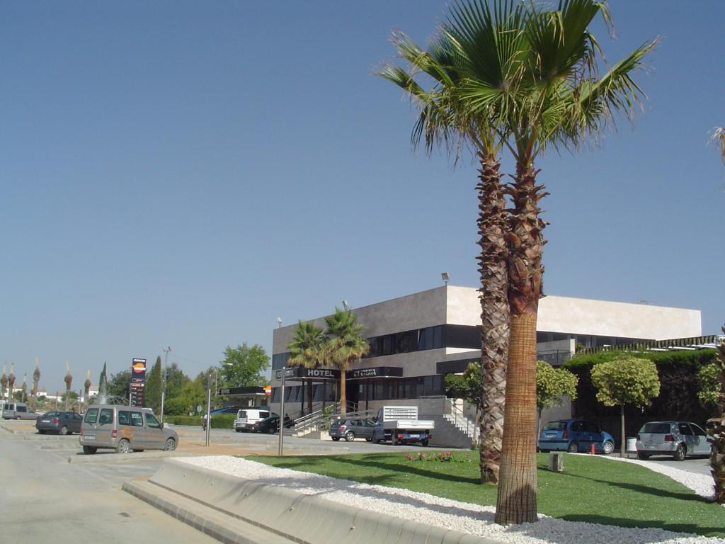Paraiso Granada