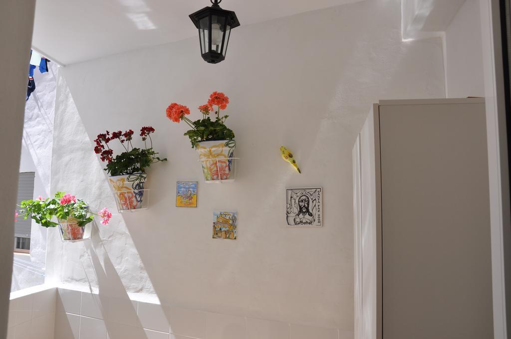 Apartment Alenia