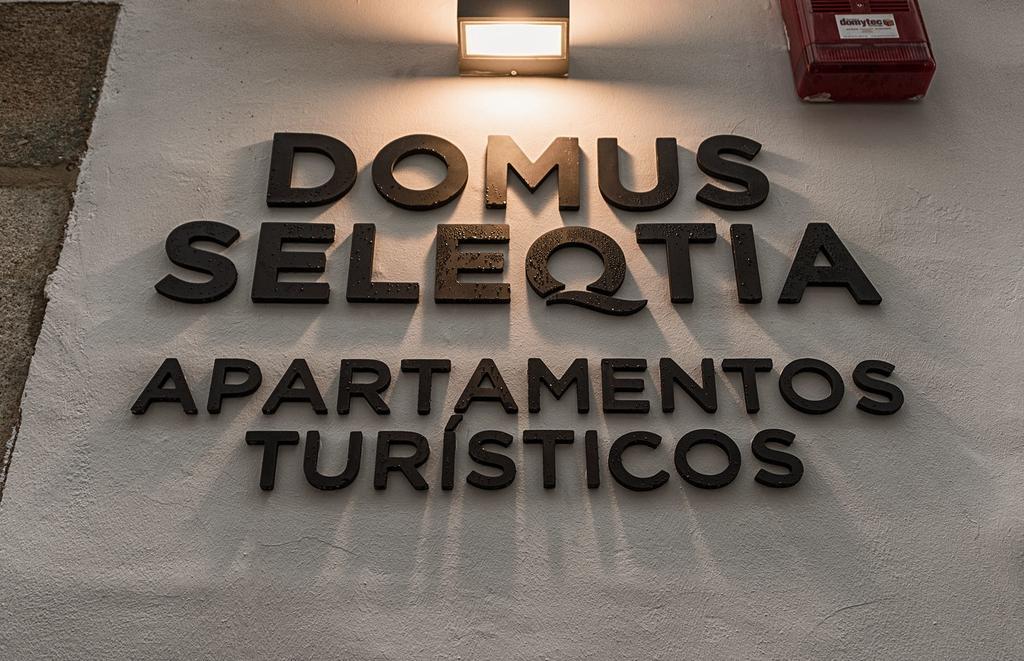Apartamento Turísticos Domus Seleqtia Plaza Mayor *