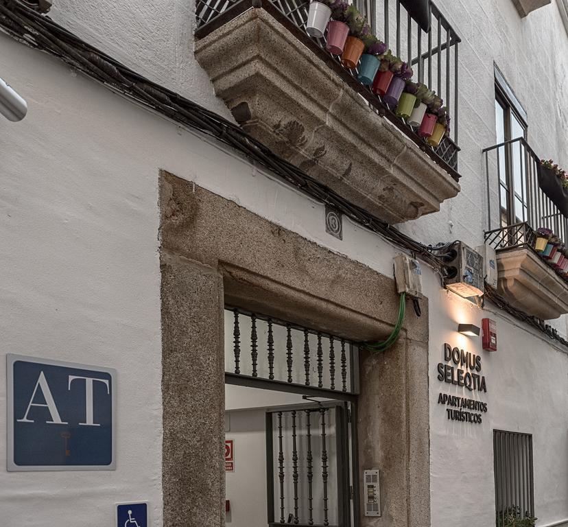 Apartamento Turísticos Domus Seleqtia Plaza Mayor *
