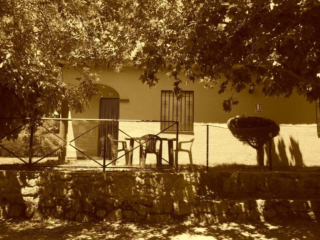 Cabanas-bungalows-camping 