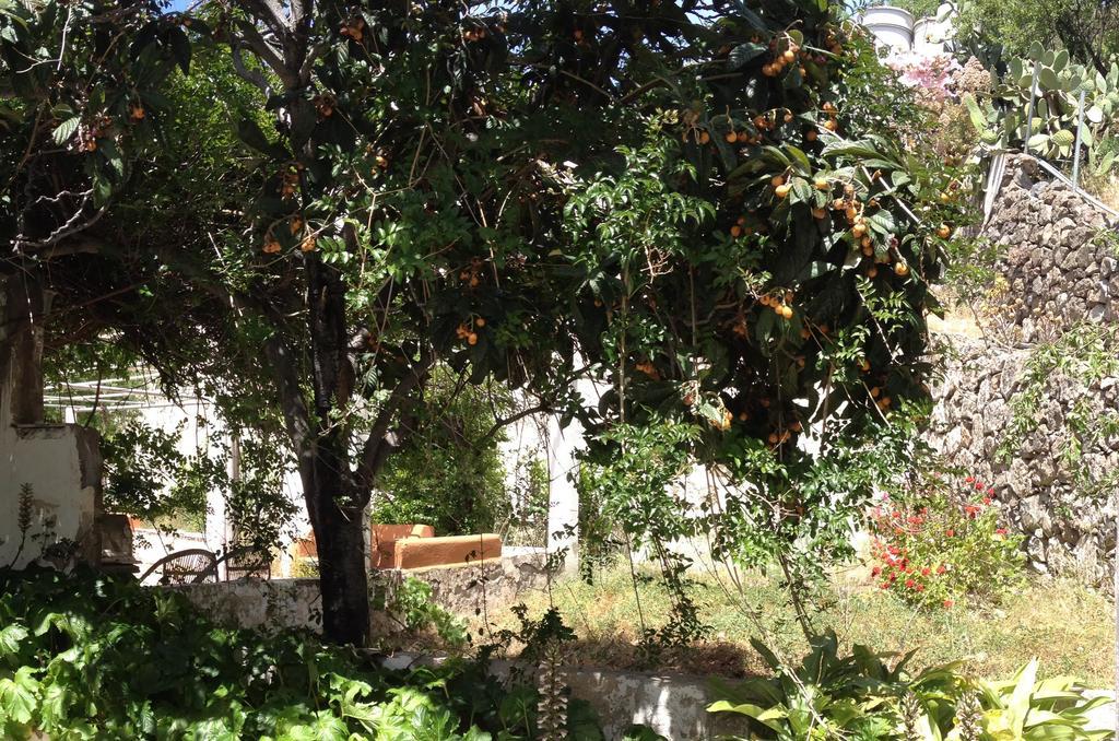 Casa Del Caminero En Tejeda Casa rural Tejeda (Gran Canaria)