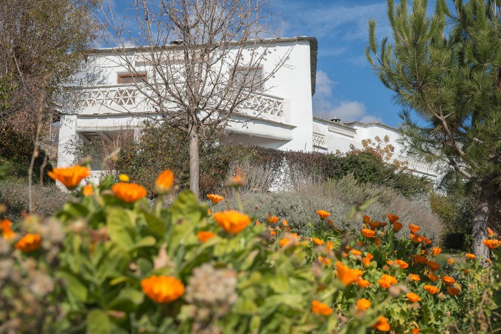 Bed & Breakfast La Oveja De La Alpujarra