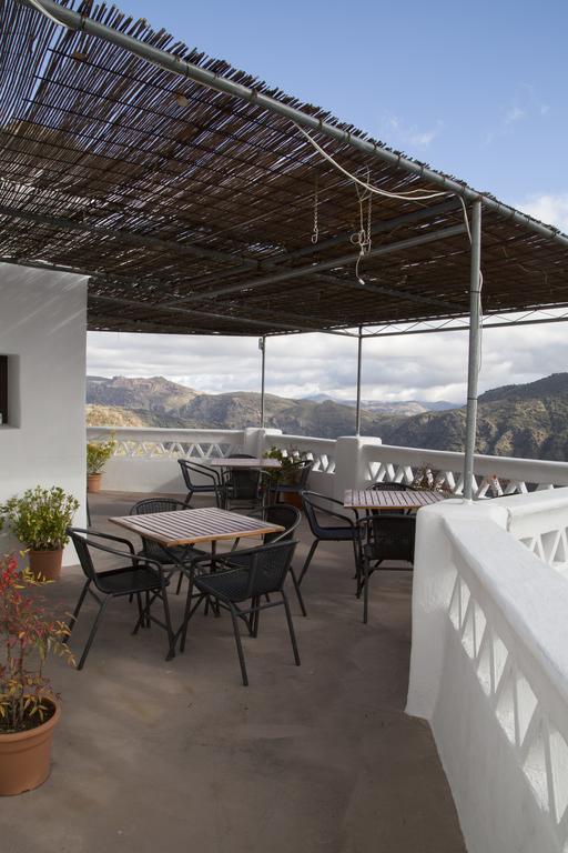 La Oveja De La Alpujarra *
