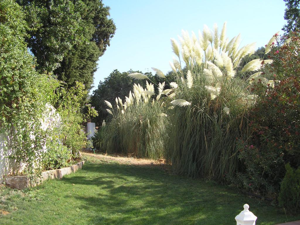 Casa rural La Favorita Constantina