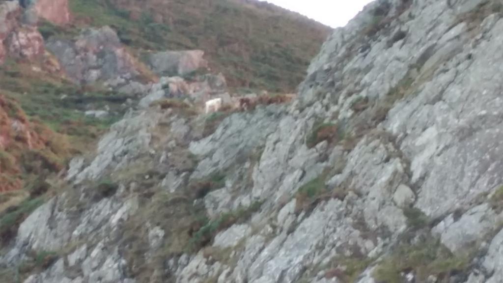 Muiño Cañotas *