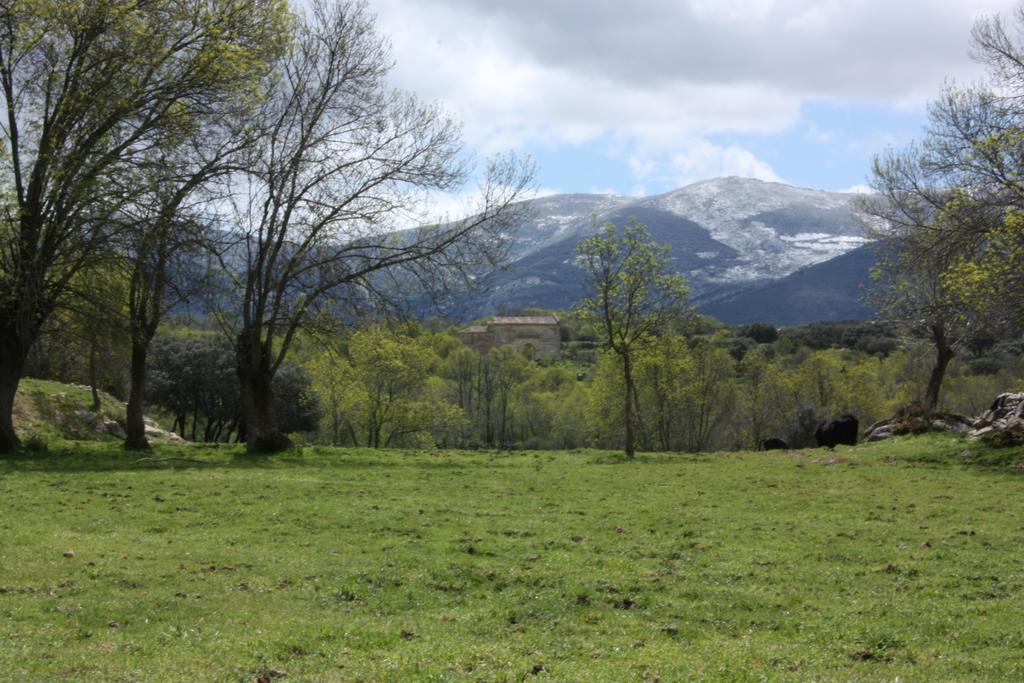 Casas Del Palomar I&ii Ortigosa del Monte