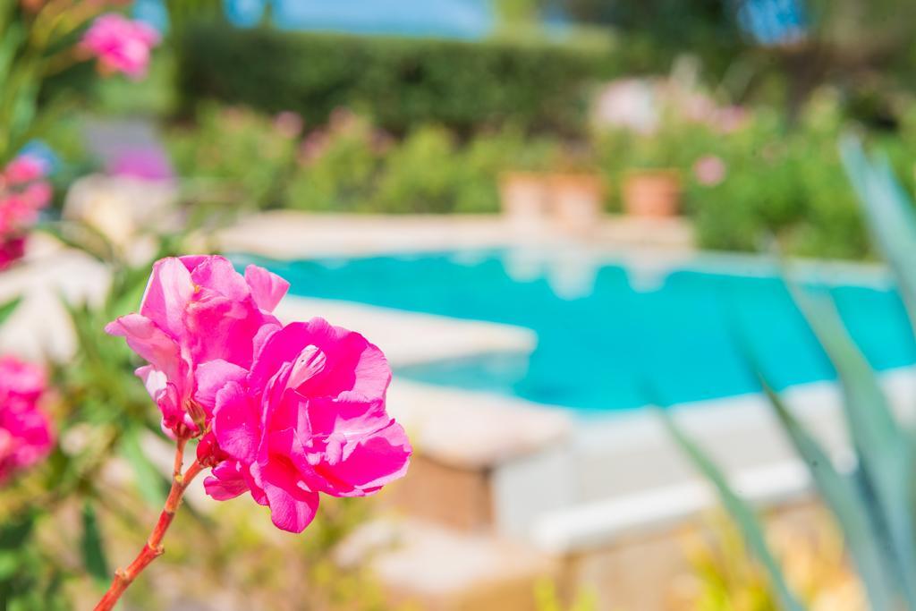Villa Pina - Eco Cascada - (adults Only) Costitx (Mallorca)