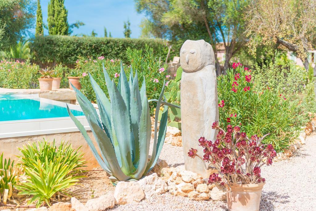 Pina - Eco Cascada - (adults Only) *