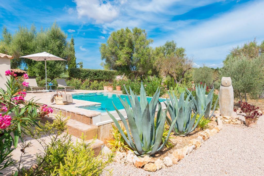 Pina - Eco Cascada - (adults Only) Costitx (Mallorca)