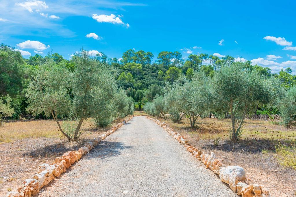 Villa Pina - Eco Cascada - (adults Only) Costitx (Mallorca)