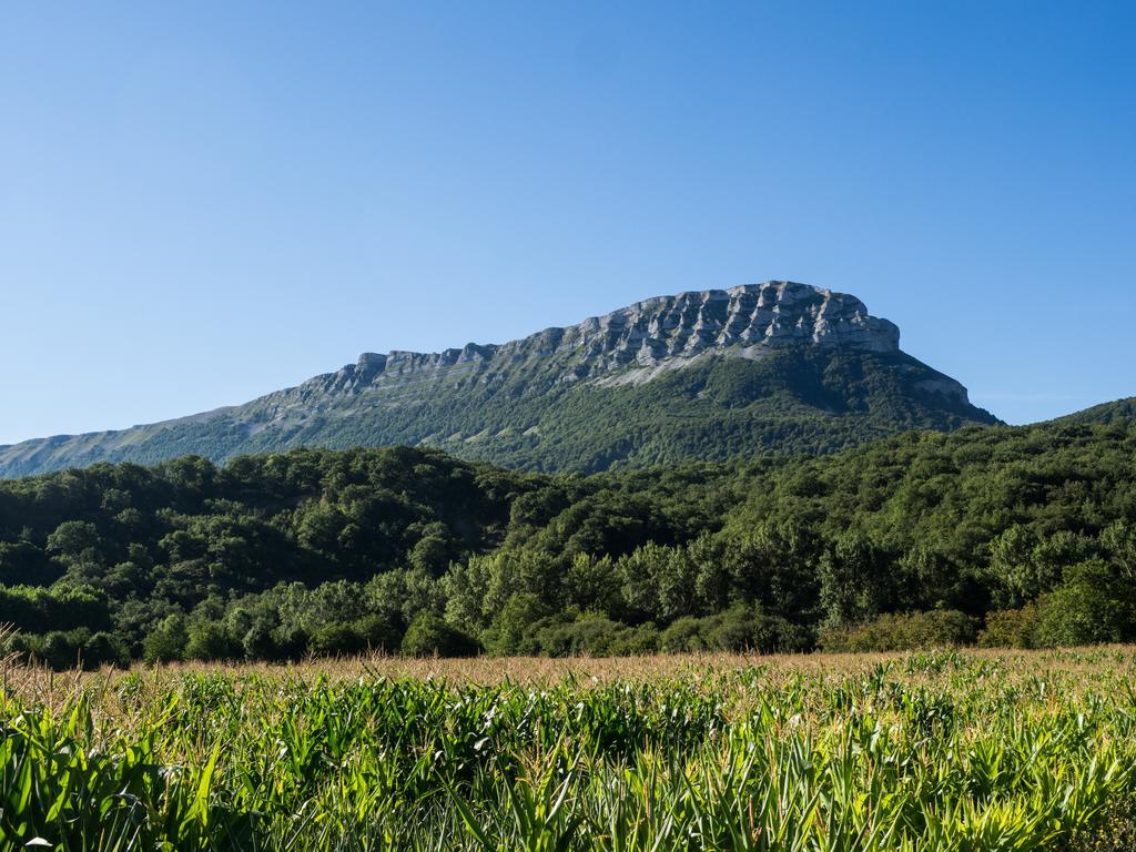 Casa Rural Martxoenea Landetxea
