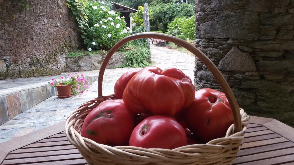 A Pena De Augasantas Casa rural