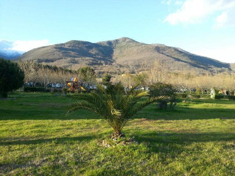 Resort Cabanas-bungalows-camping 