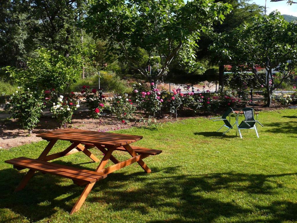Cabanas-bungalows-camping 