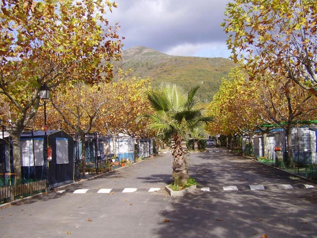 Cabanas-bungalows-camping 