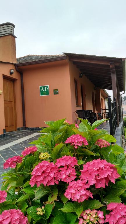 La Searila *