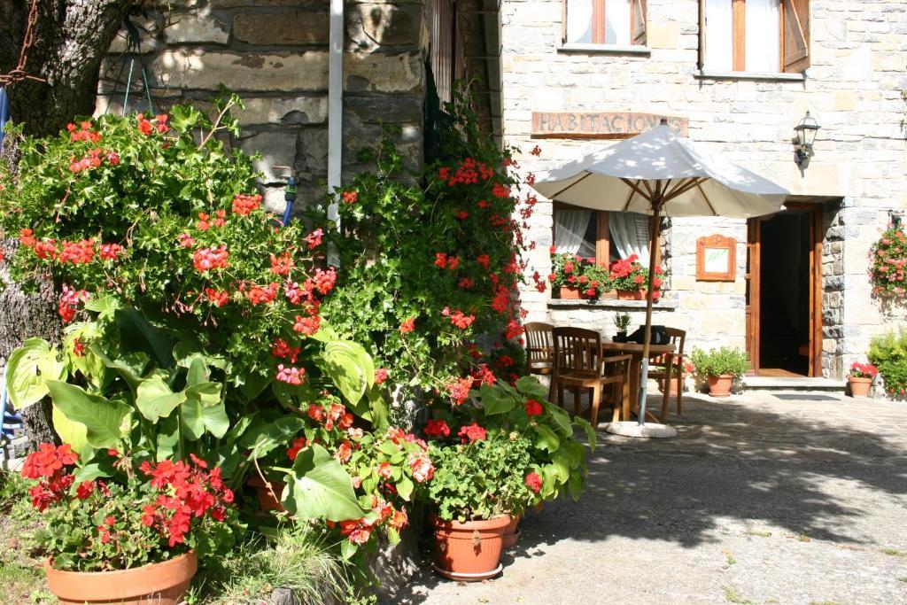 Casa Gallan 3* Sarvise