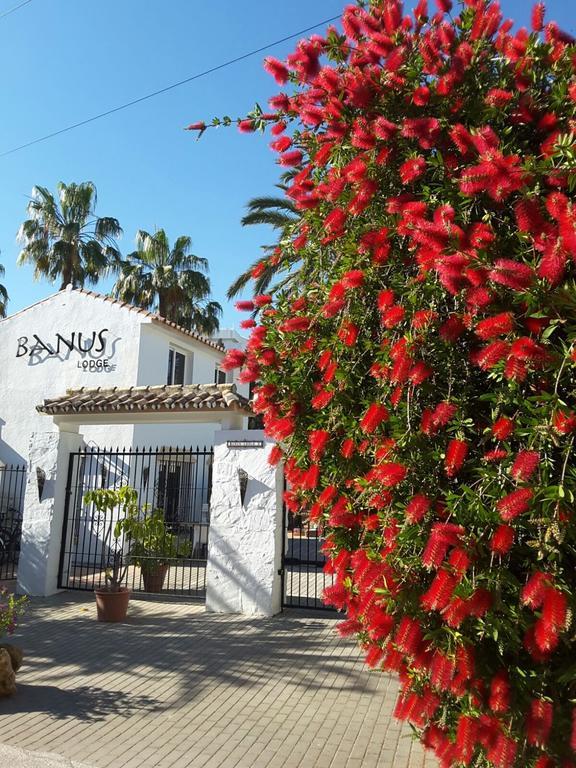 Banus Apartment Marbella