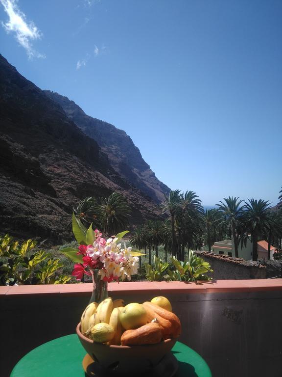 Goyo Gomera Valle Gran Rey