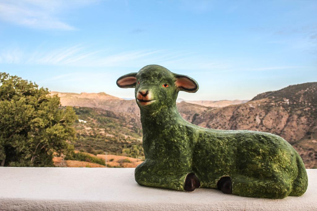 Bed & Breakfast La Oveja De La Alpujarra